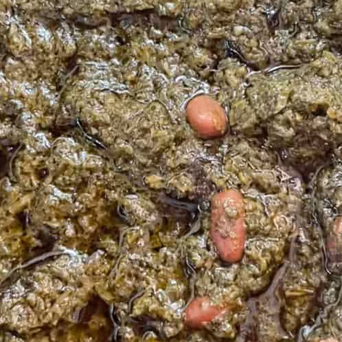 سبزی سرخ شده 250 گرمی (قرمه سبزی سفارشی)