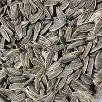 تخمه دور سفید شور درجه1