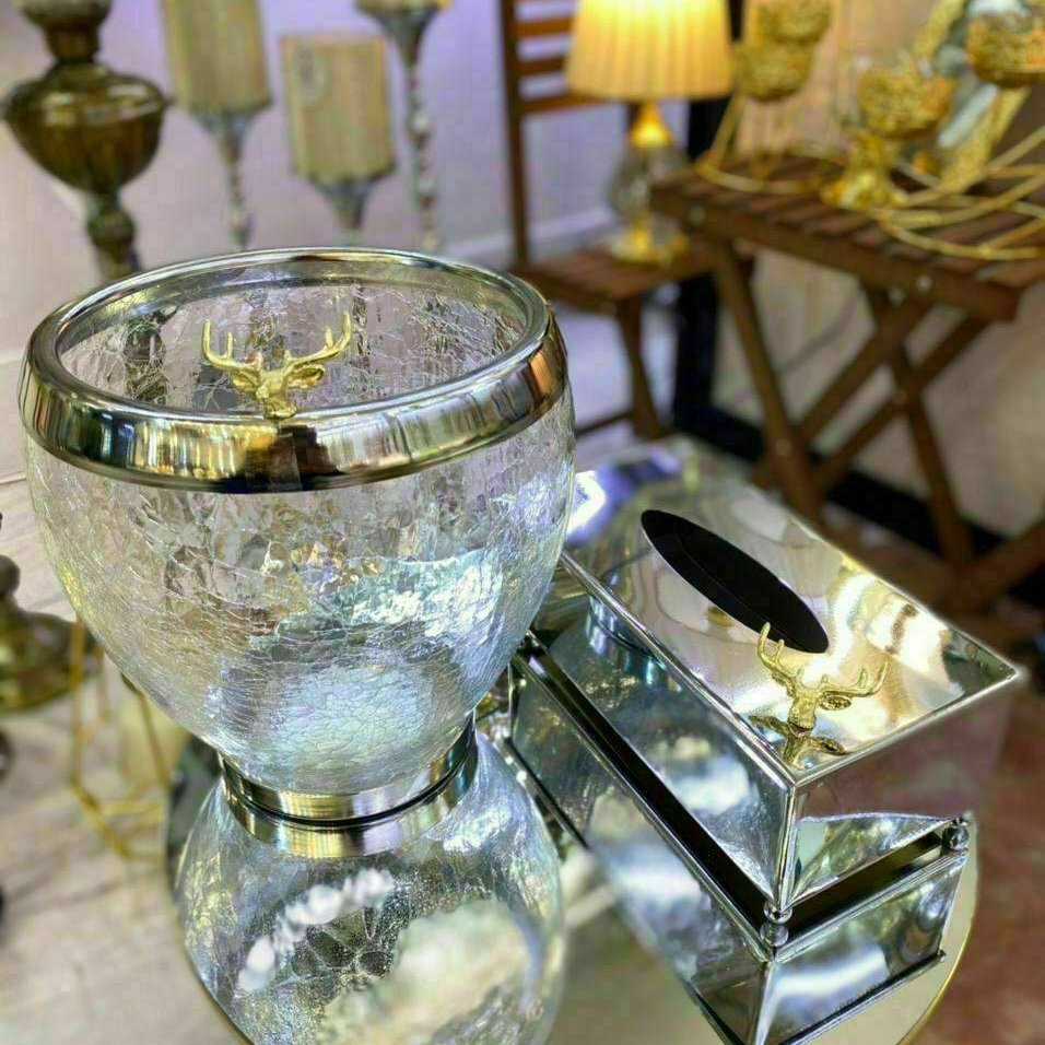 سطل و دستمال آبگز