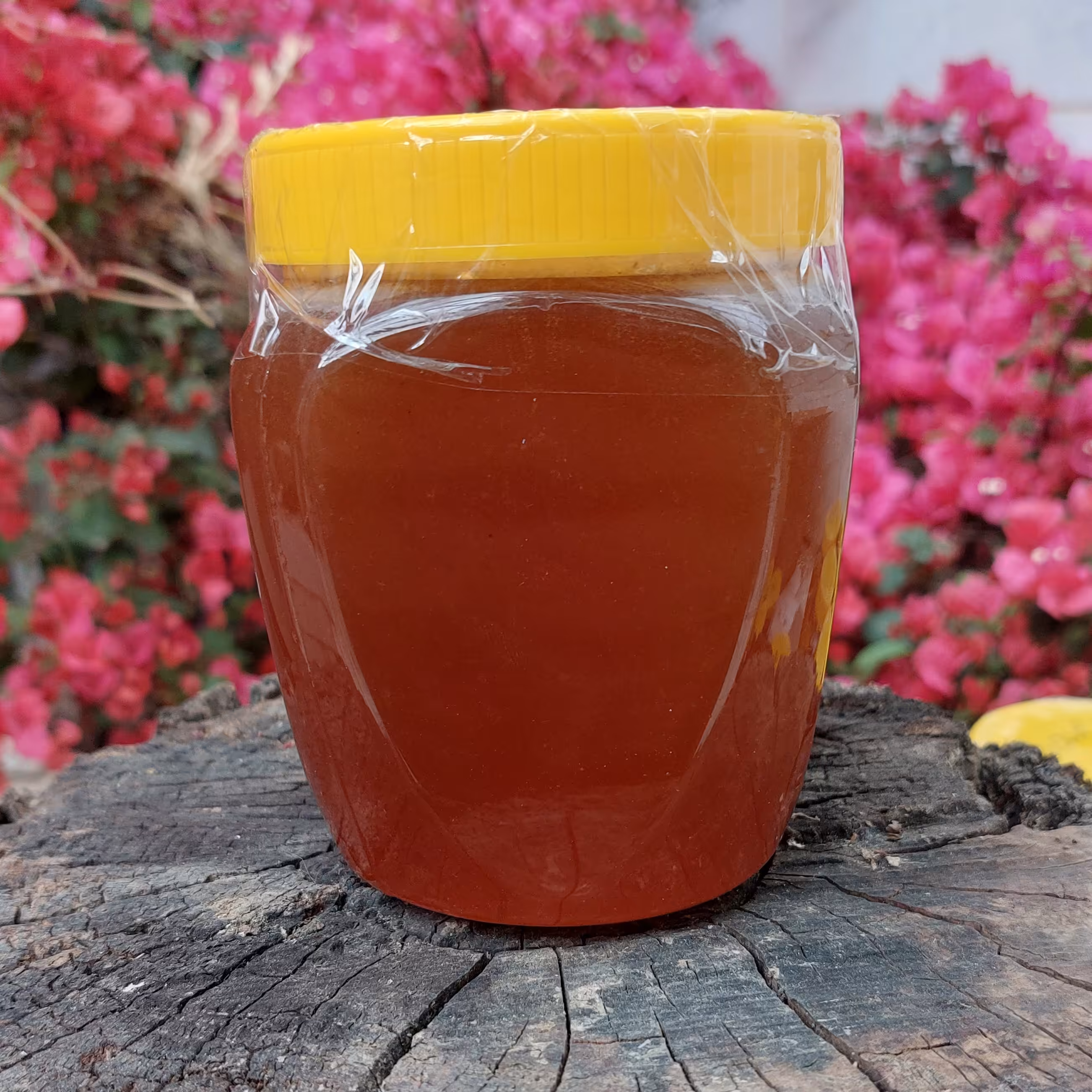 عسل زول یا بوقناق متخصص بیماری های کلیوی و کبدی و پوستی