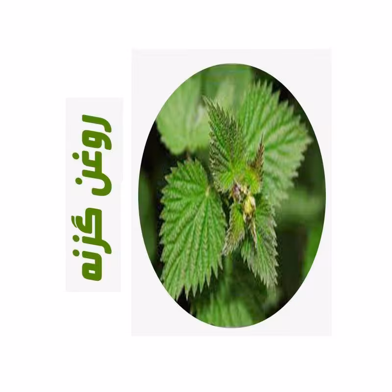 روغن ماساژ گزنه