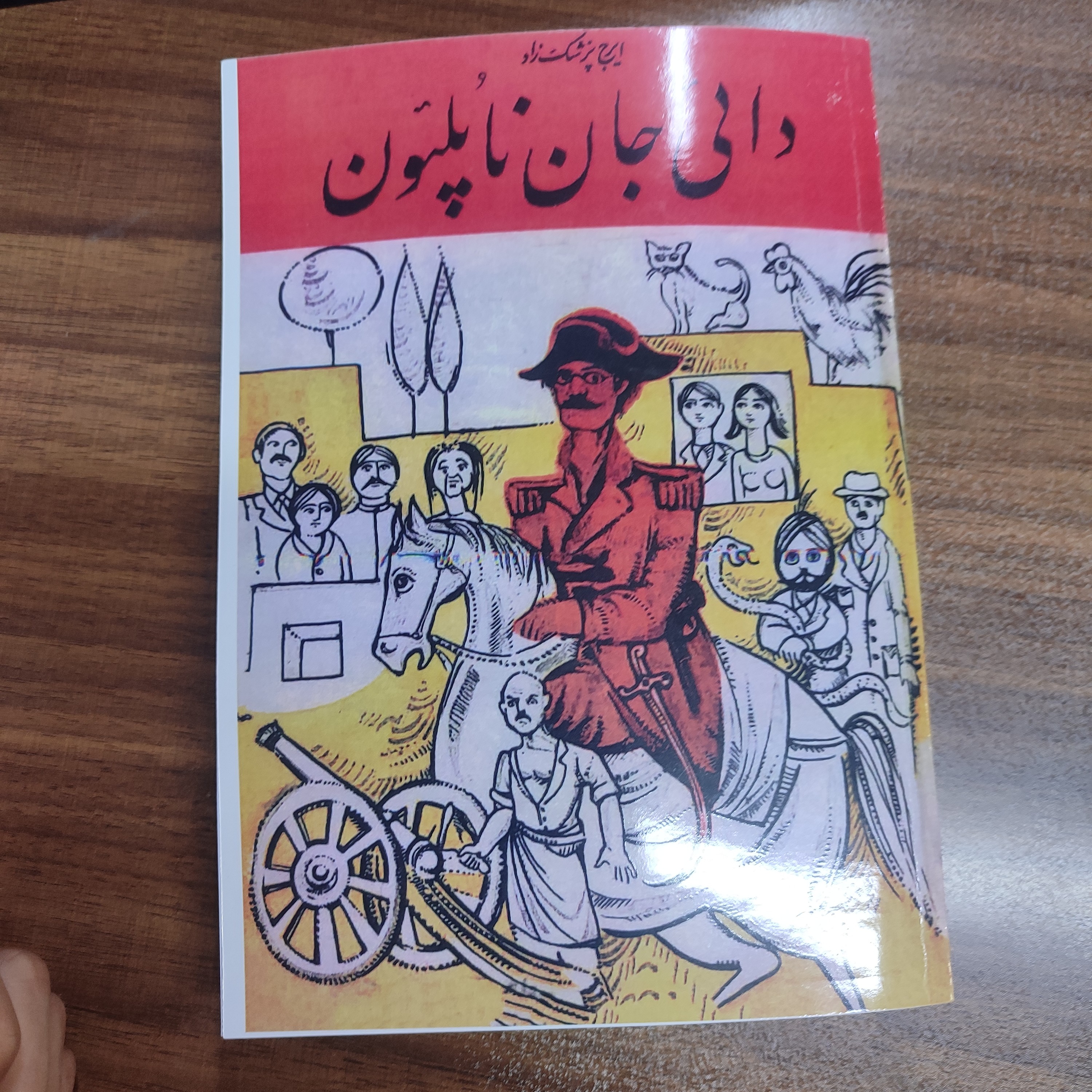 کتاب دائی جان ناپلئون ایرج پزشکزاد
