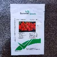 بذر گوجه فرنگی روم