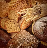 عکس نان تست و فانتزی | گرافیک با طعم تربچه