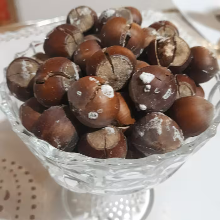 فندوق بوداده متوسط ییلاق اشکور  گیلان