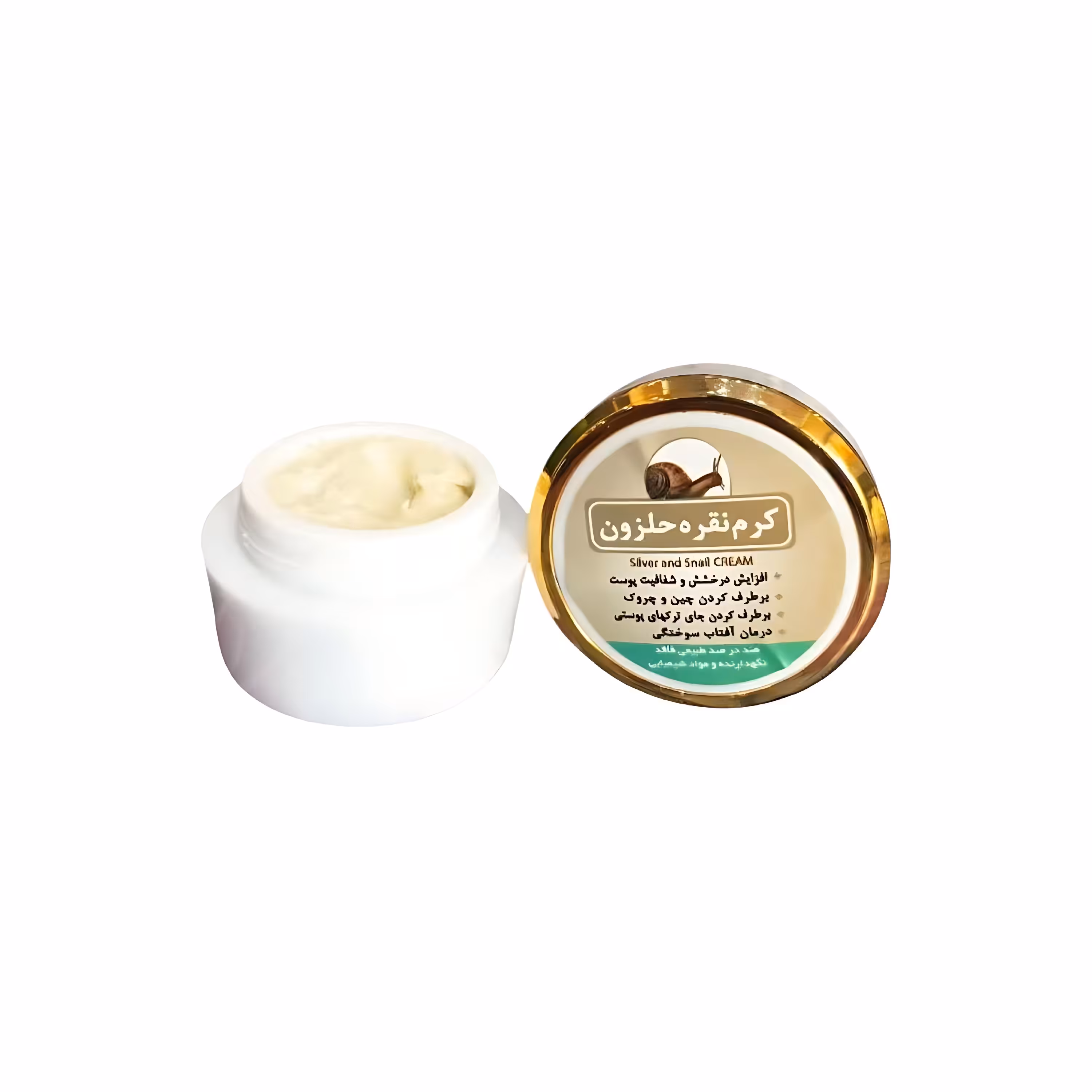 کرم نقره حلزون گیاهی 