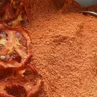 پودر گوجه خشک شده فدک (130گرم)