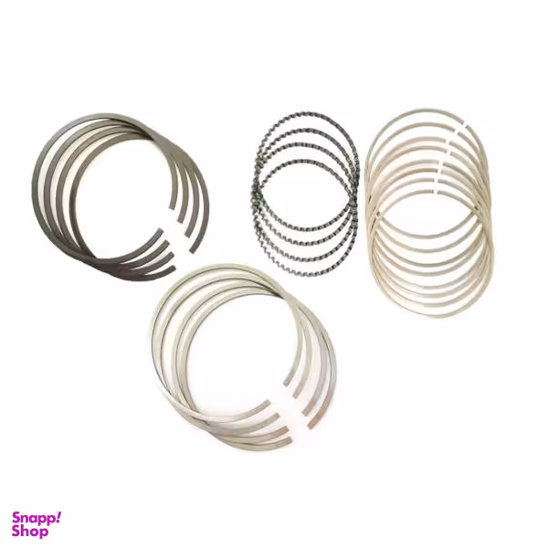 رینگ موتور ریک مدل 0.75 کد 40011 مناسب برای پراید بسته 20 عددی