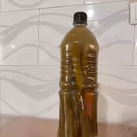 خیارشور خانگی 