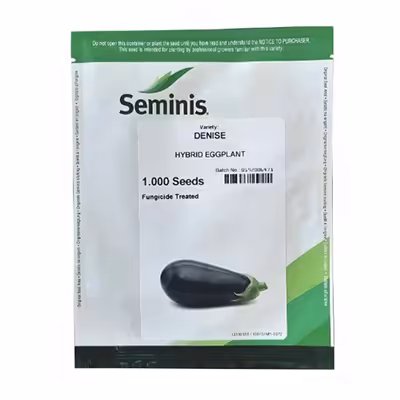 بذر بادمجان لامپی هیبرید دنیز سمینیس