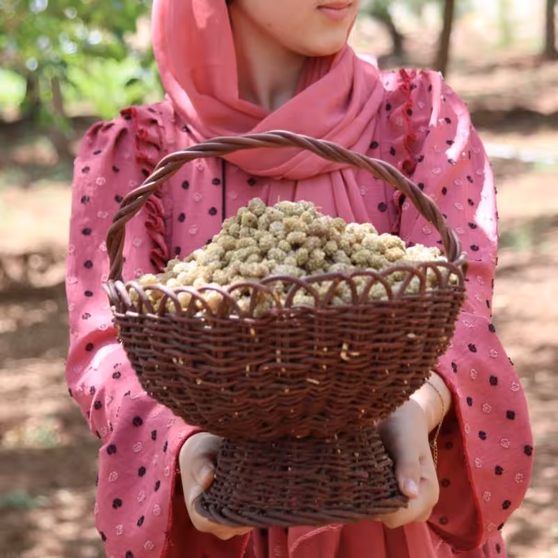توت خشک و سفید شیرین نرم جایگزین قند برای بیماران دیابتی بهترین گزینه برای کودکان بجای تنقلات مضر