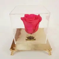 گل رز جاودان صورتی با باکس سنگ مرمر
