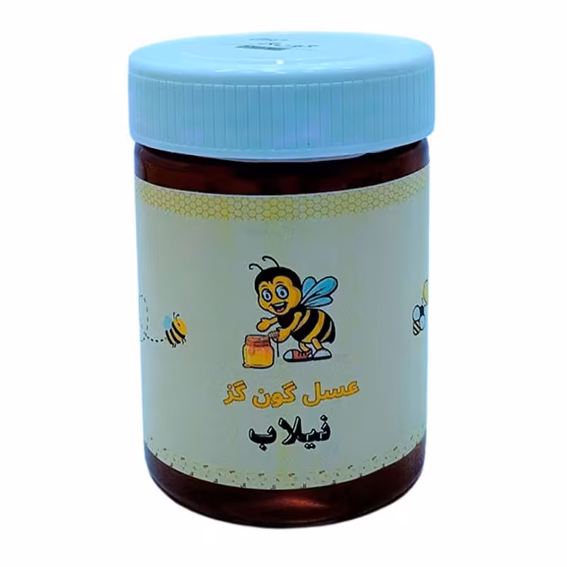 عسل گون گز - 460 گرم (ارسال رایگان)