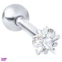 پیرسینگ گوش اقلیمه کد HS16