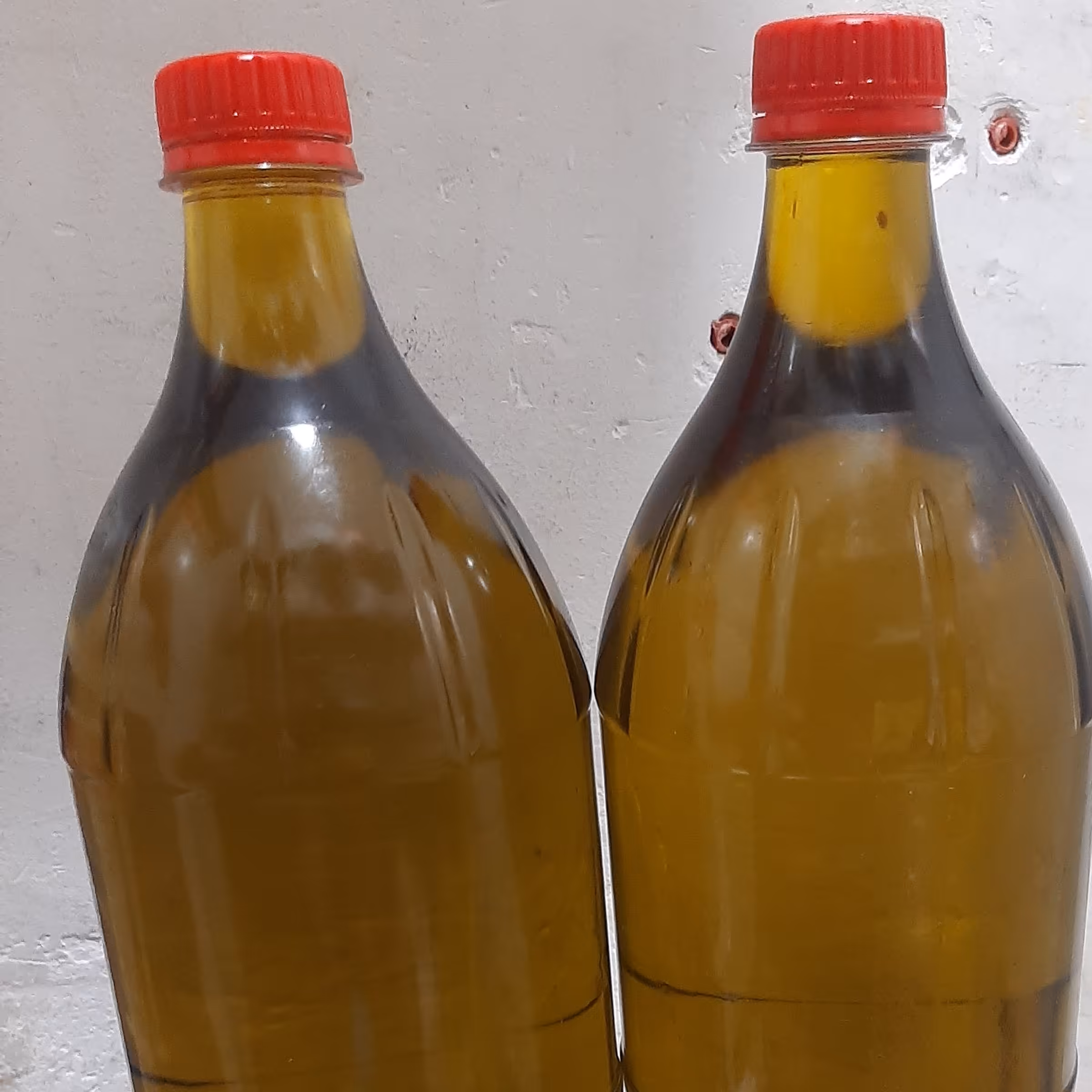 روغن زیتون درجه یک رودبار