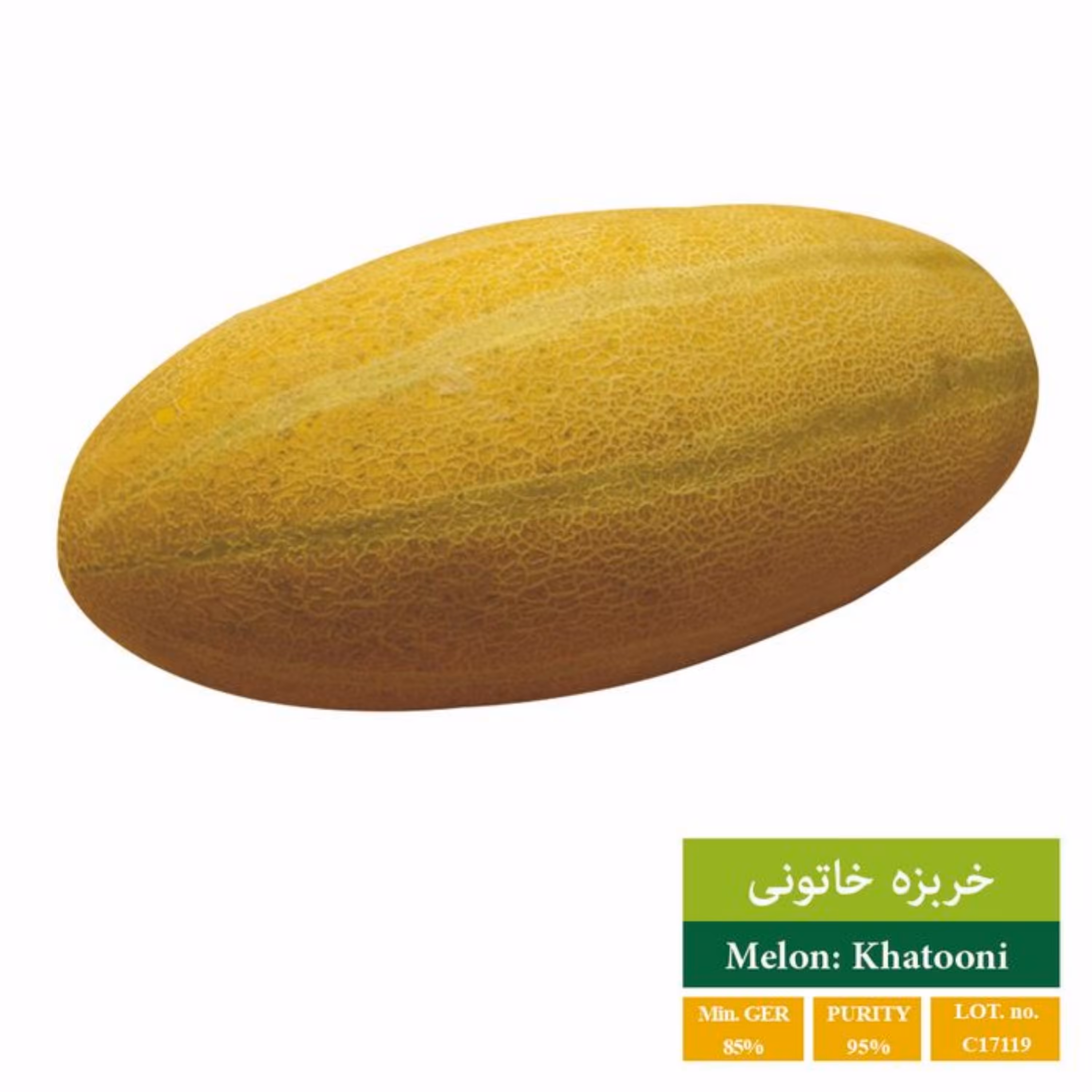 بذر خربزه خاتونی بذر طلایی رویان 