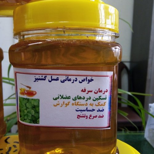 عسل طبیعی گشنیز مستقیم از زنبوردار