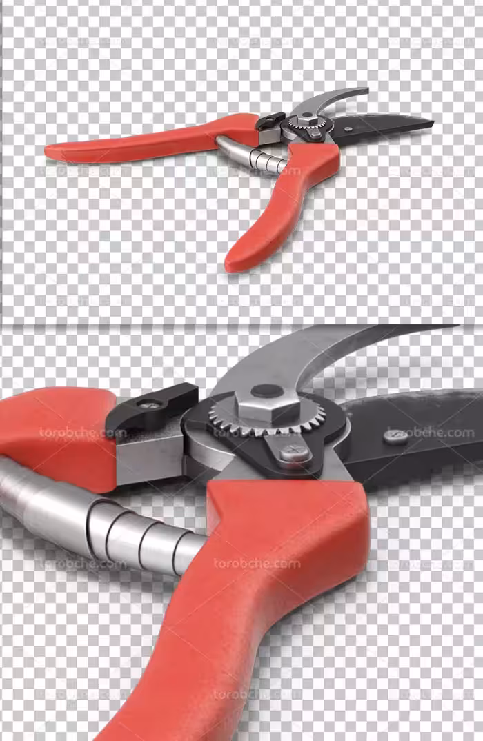 عکس قیچی هرس دوربری | گرافیک با طعم تربچه