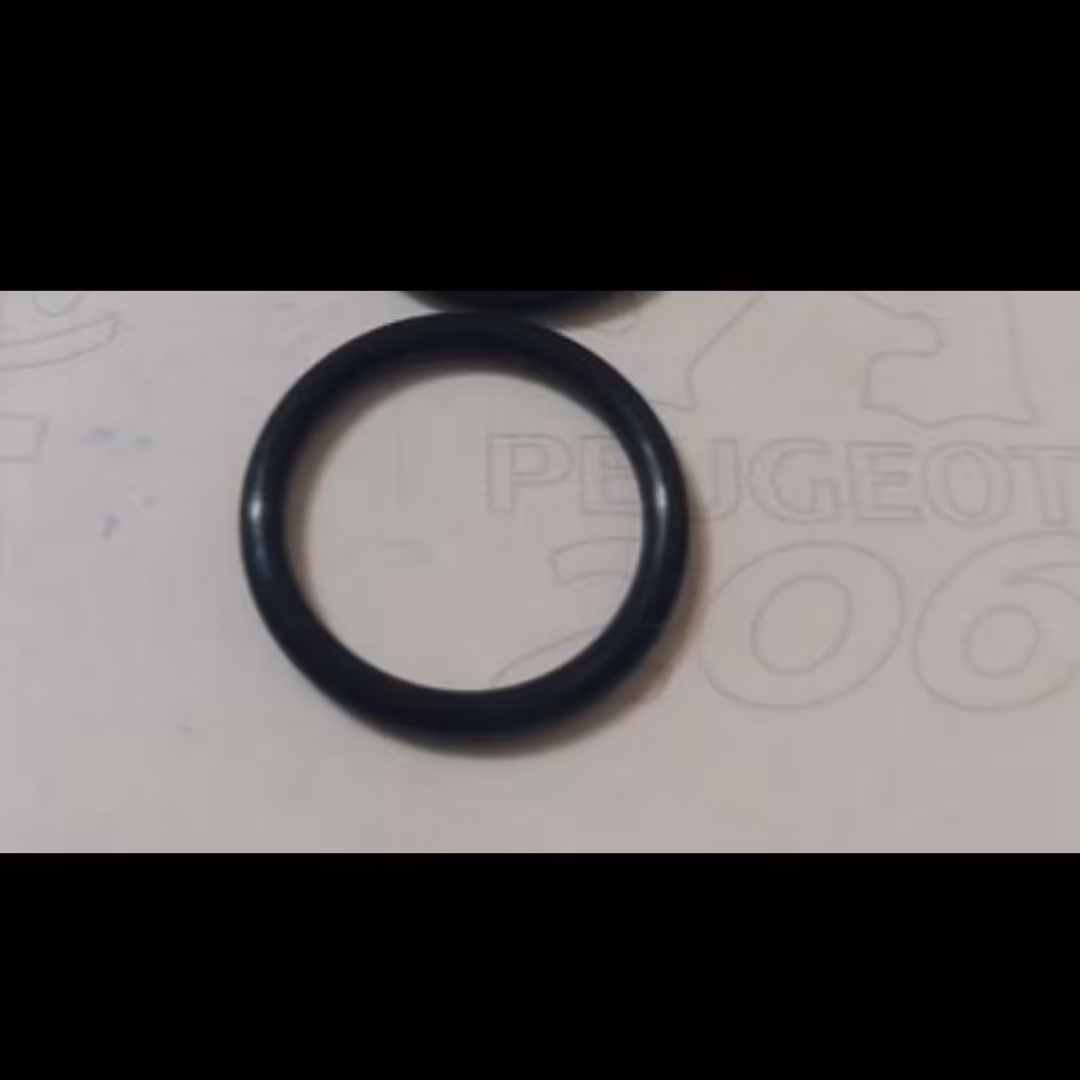 اورینگ اصلی بخاری 206 و 207 ورانا با لیبل ایساکو  