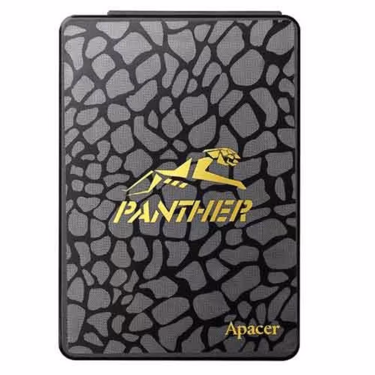 اس اس دي اپيسر APACER AS340 PANTHER ظرفيت 120