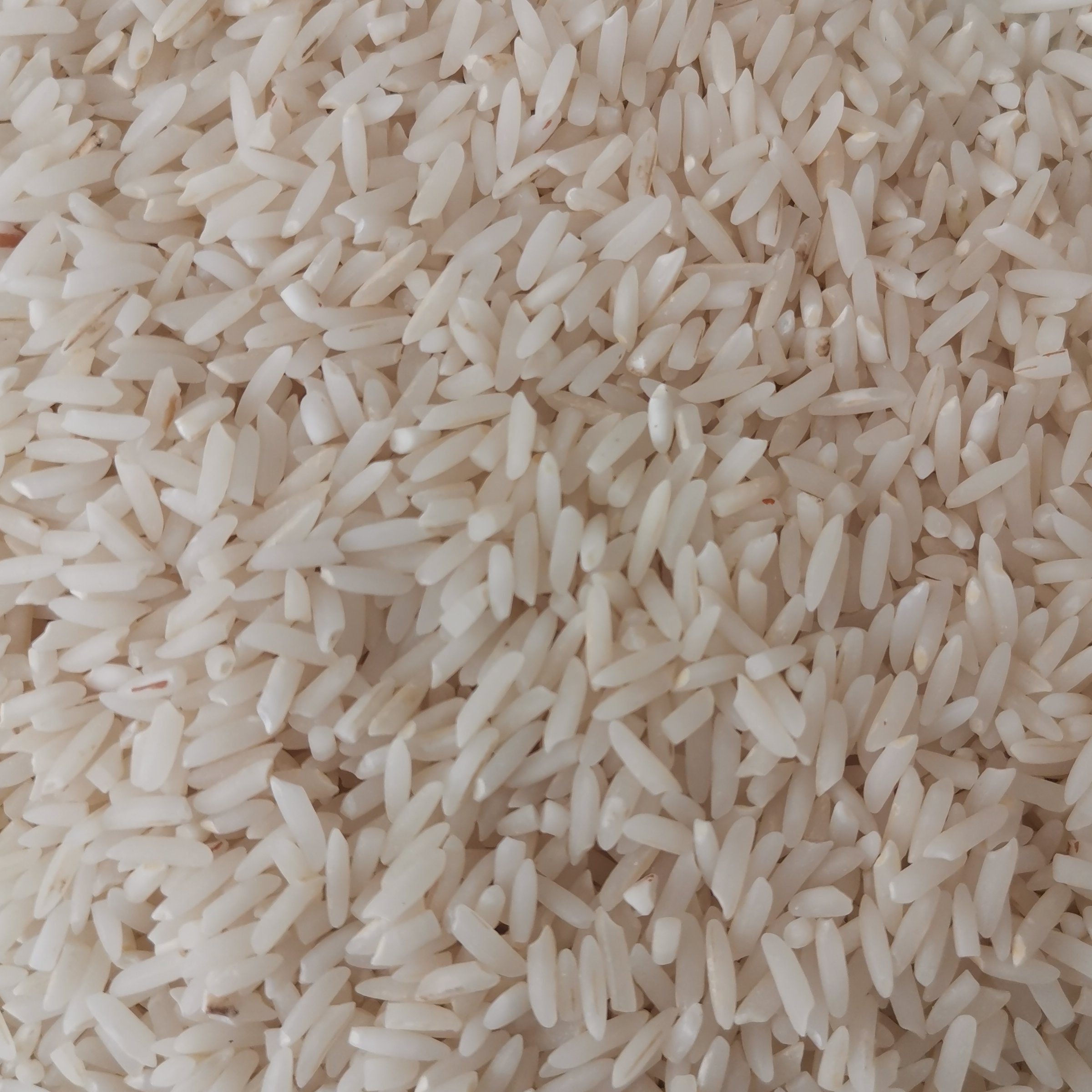 برنج دمسیاه محلی باکیفیت-مینودشت(20 کیلویی)