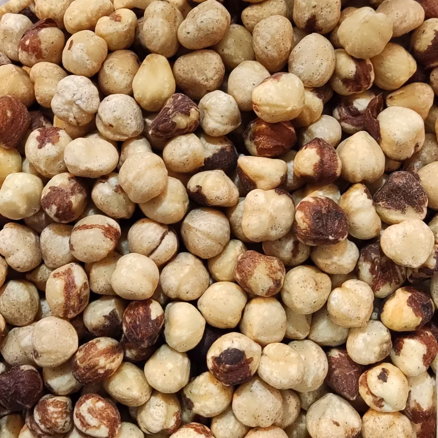 فندق شور (نیم کیلو)