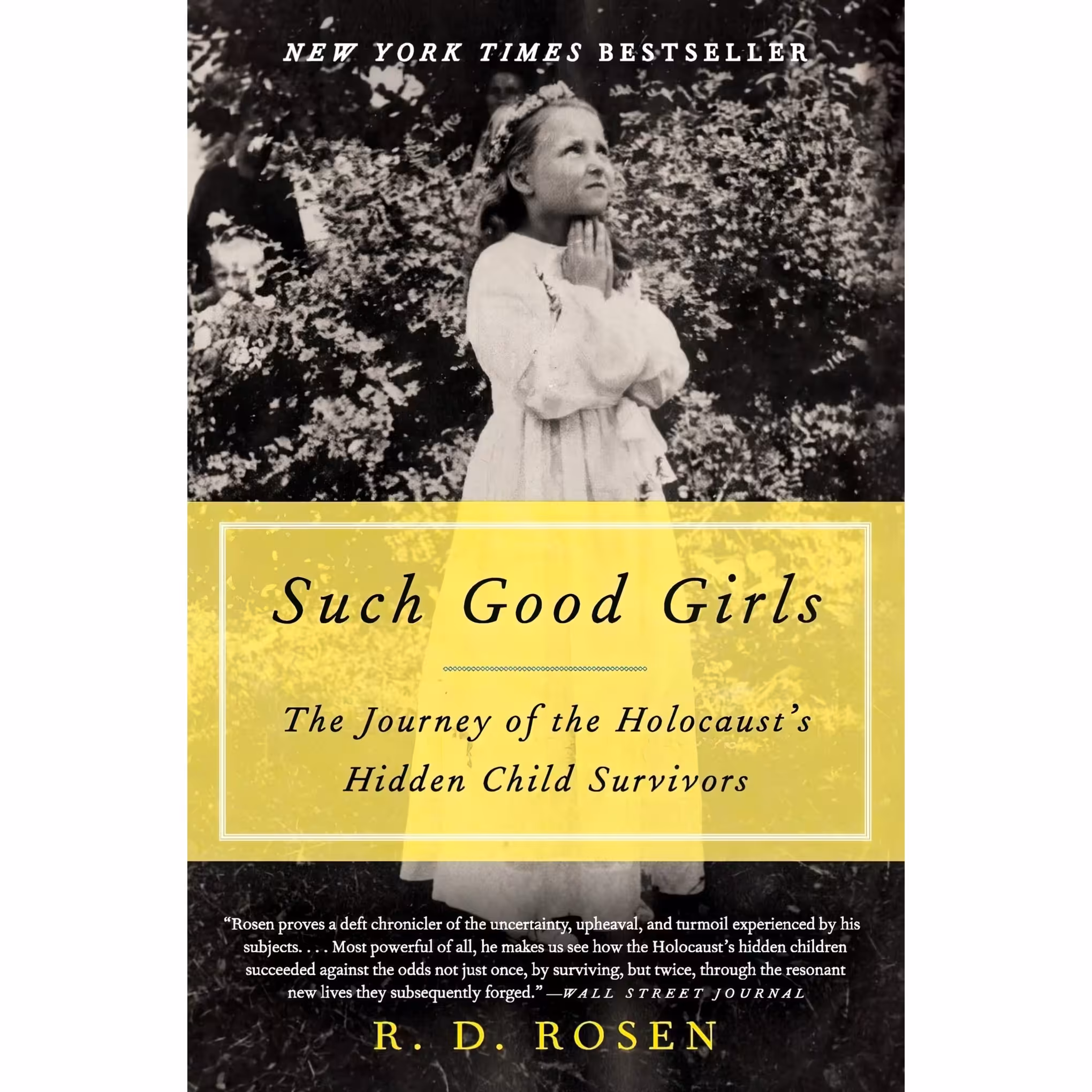 کتاب زبان اصلی Such Good Girls اثر Richard Dean Rosen انتشارات Harper Perennial