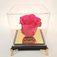 گل رز جاودان صورتی همراه باکس و کاور ( ولنتاین )