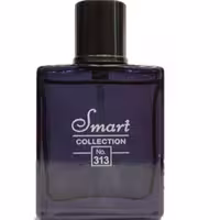 عطر اسمارت کد 313 بلوچنل مینیاتوری