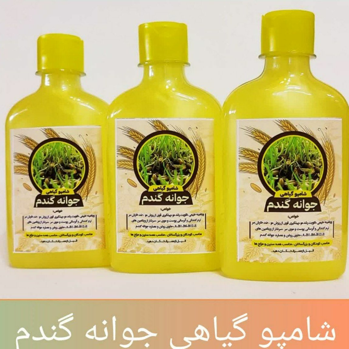 شامپو جوانه گندم طهور (پیشگیری قوی از ریزش مو آبرسان)