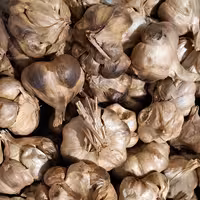 سیر سیاه 500 گرمی ،سیر سیاه ،سیرسیاه فله اعلا نرم و ژله ای 