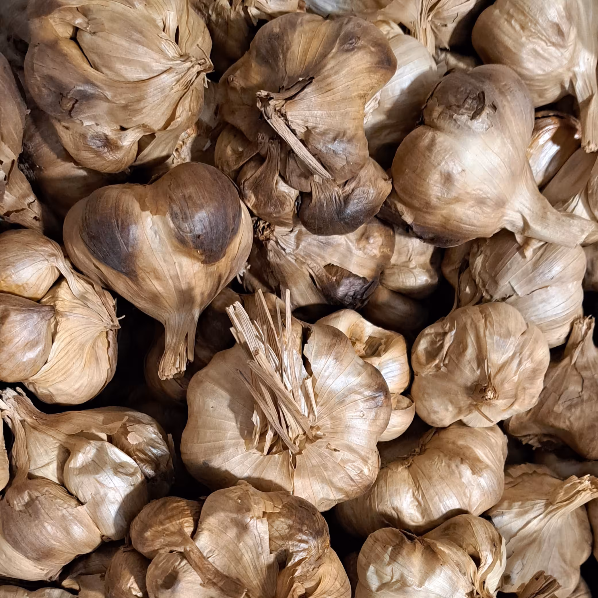 سیر سیاه 500 گرمی ،سیر سیاه ،سیرسیاه فله اعلا نرم و ژله ای