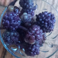 ترشی گل سیر