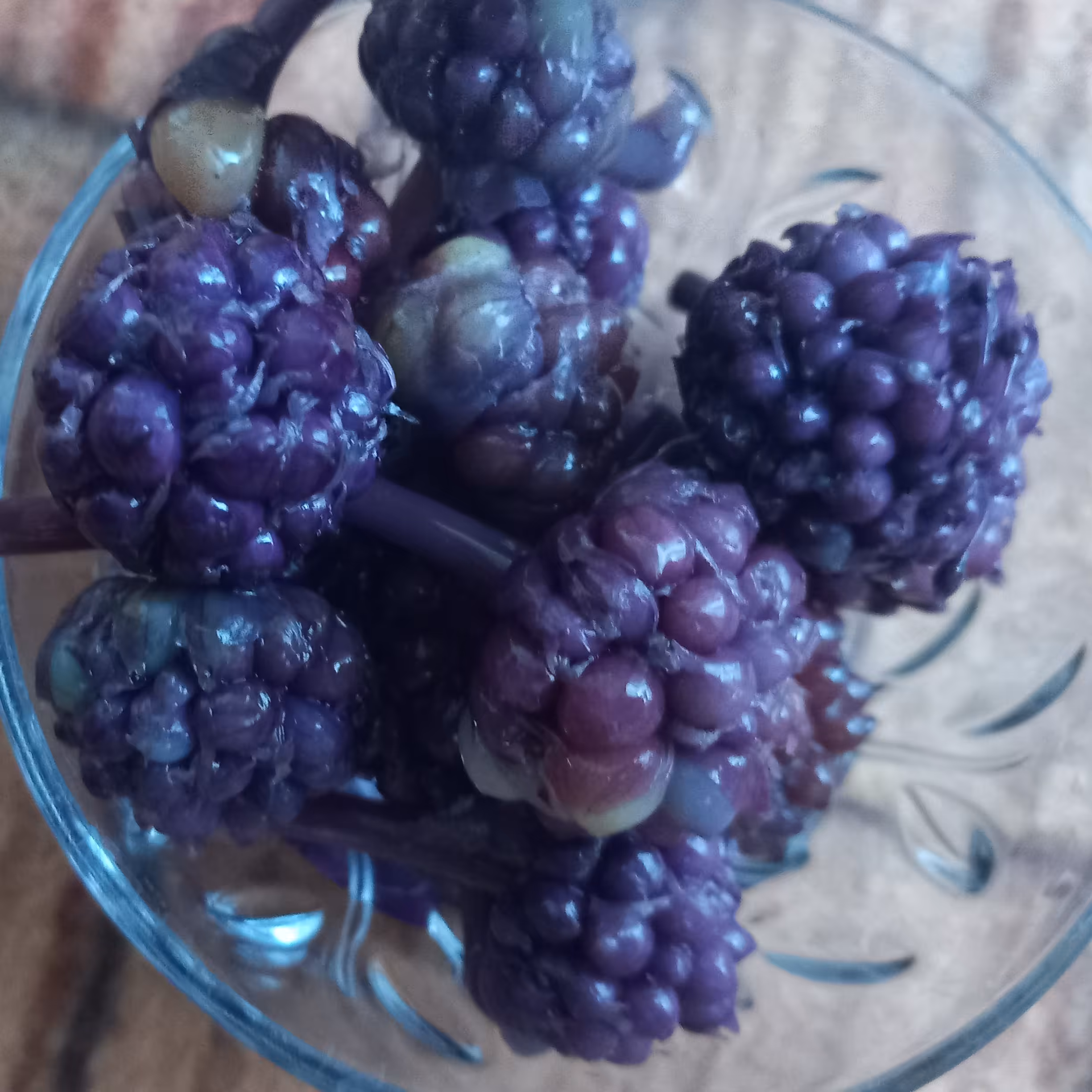 ترشی گل سیر