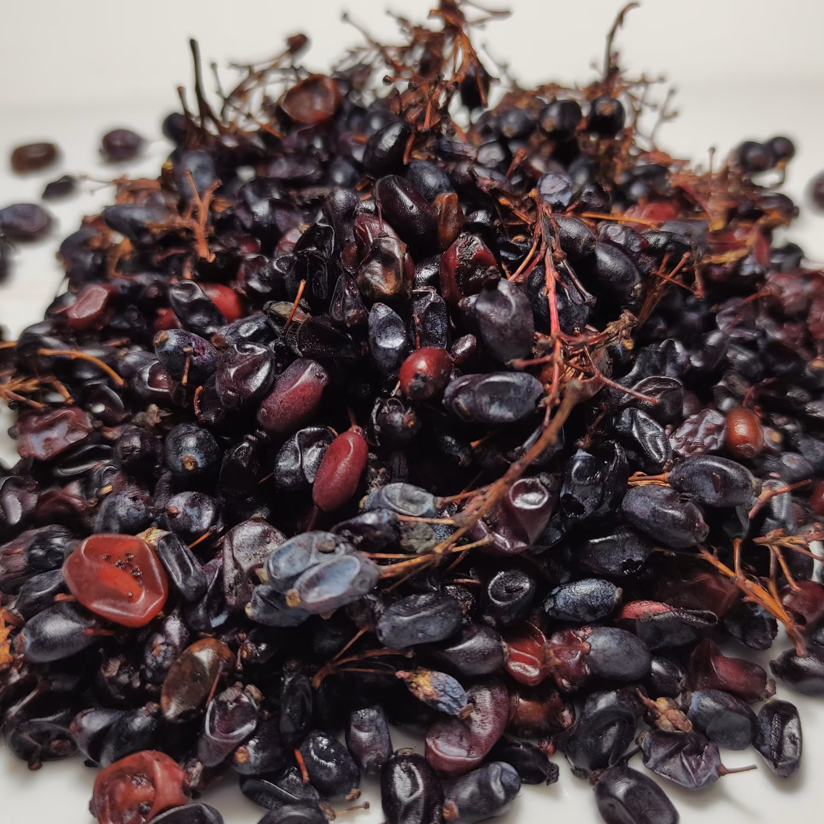 زرشک کوهی خشک نیم کیلویی درجه یک مناسب آش و  آب زرشک (زرک)