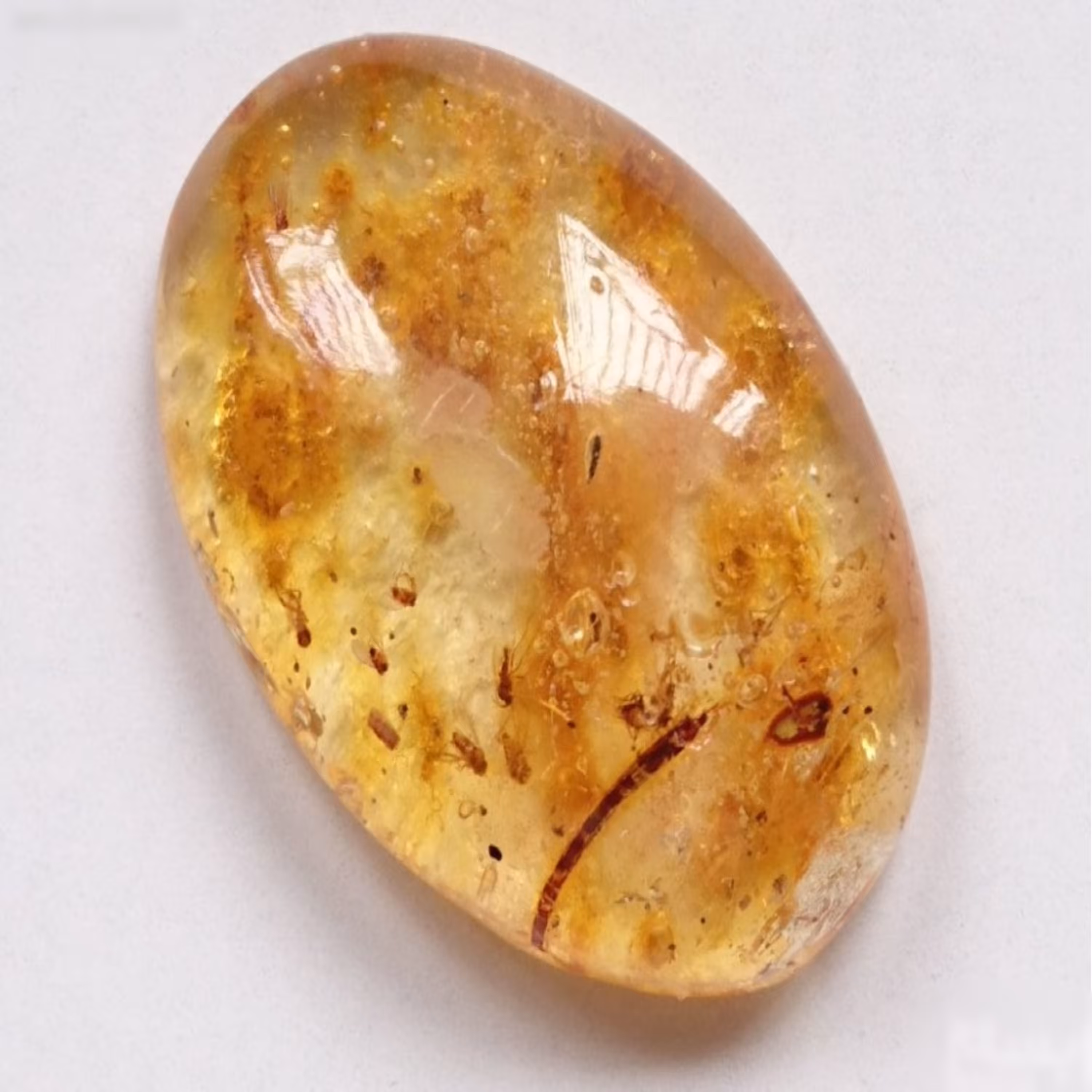 نگین کهربا حشره دار بالتیک طبیعی با شناسنامه معتبر (2)