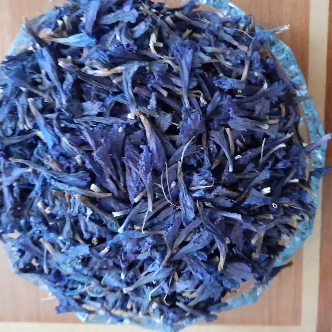 گل گاوزبان
