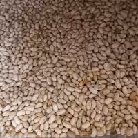 سویا  آجیلی با طعم لیمو