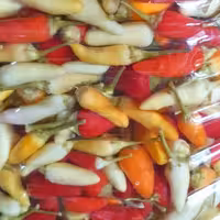 ترشی فلفل مکزیکی تند خانگی(هالوپینو)