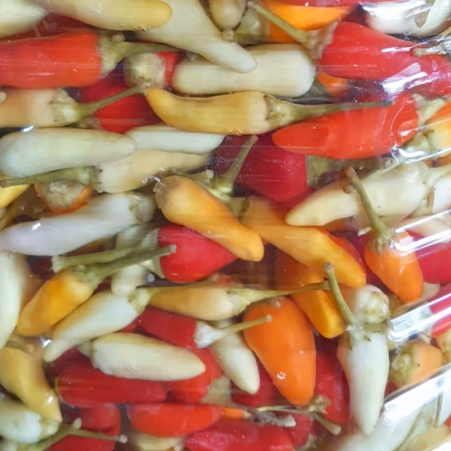 ترشی فلفل مکزیکی تند خانگی(هالوپینو)