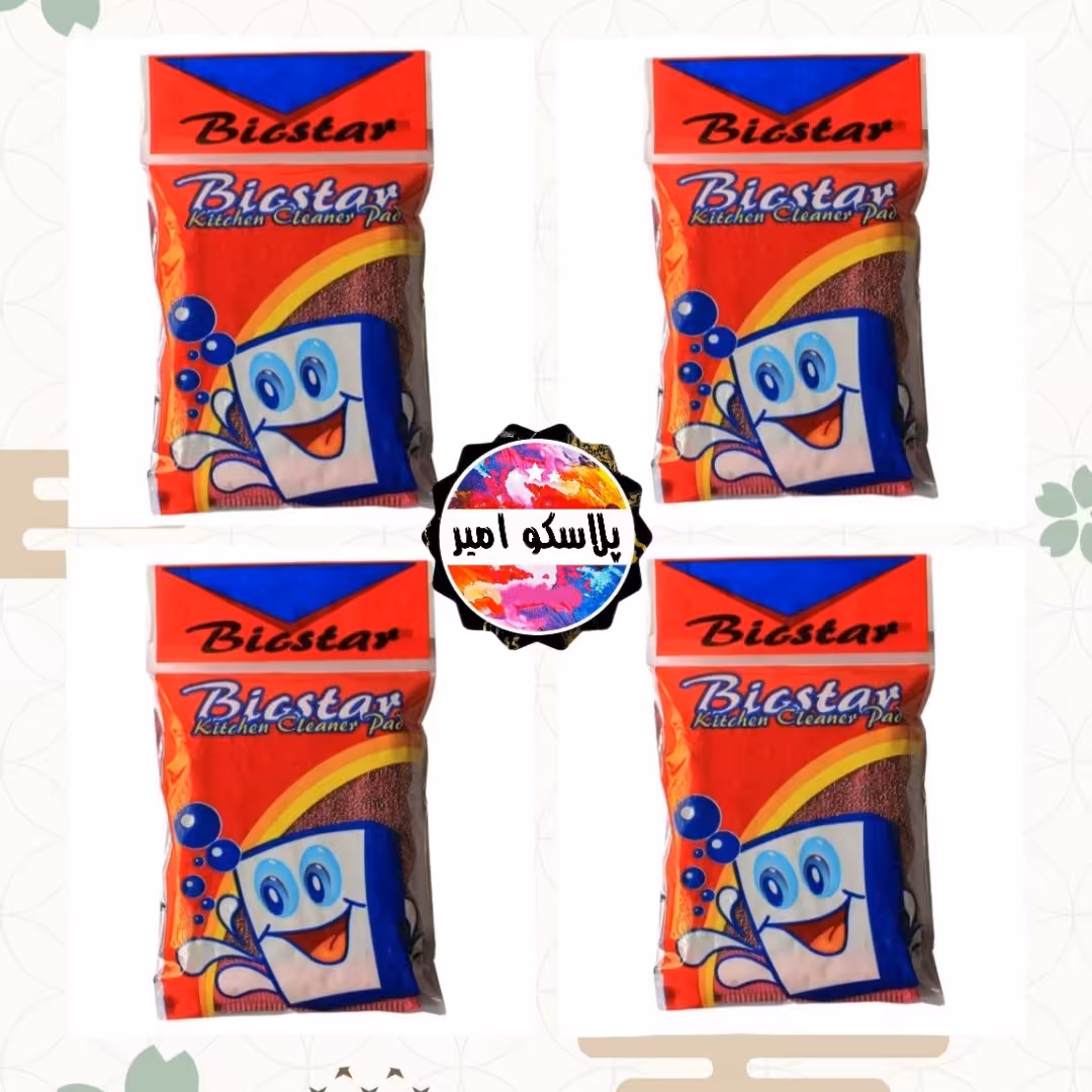 سیم ظرفشویی Bicstar مجموعه 4 عددی