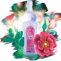 گلاب عیار 15