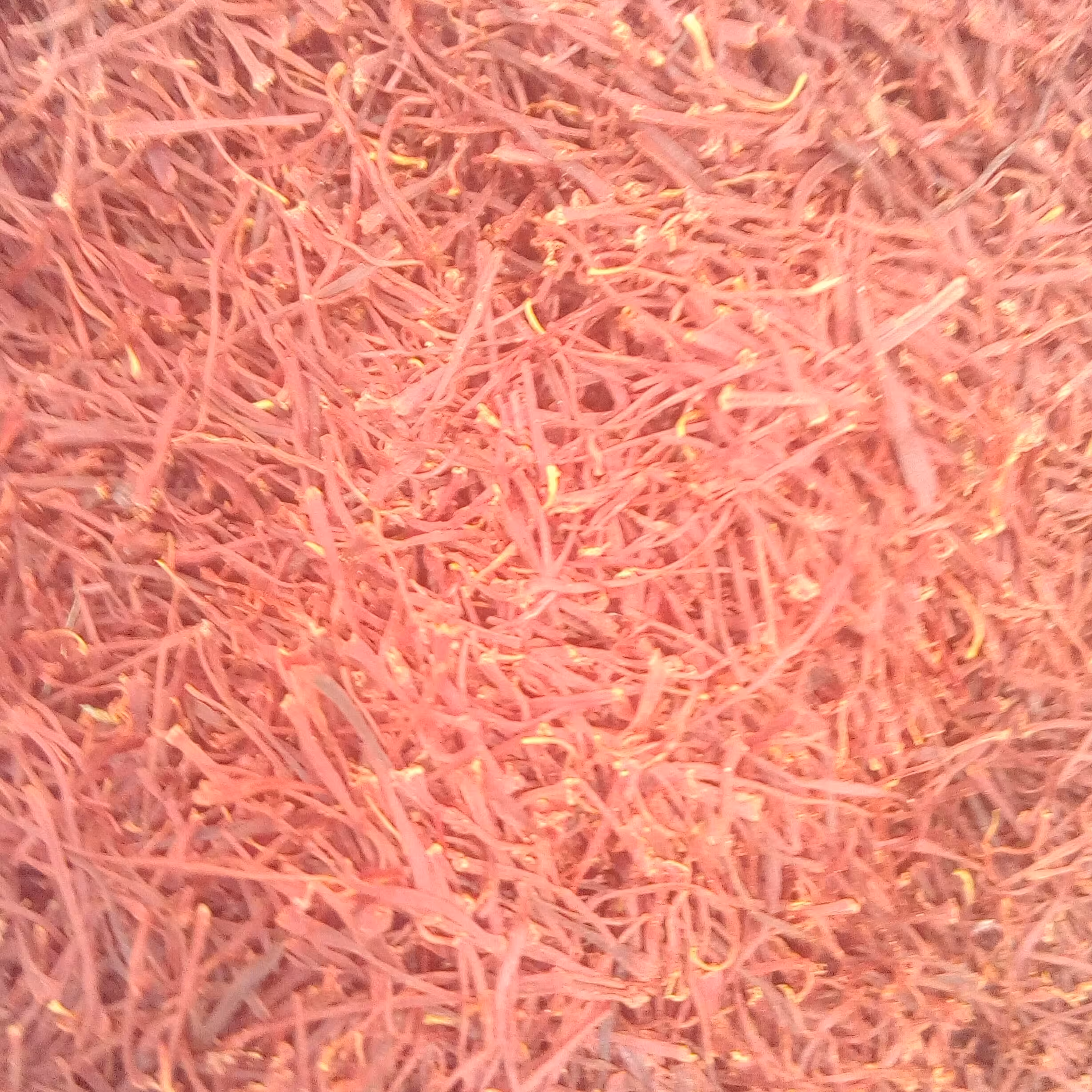 زعفران اصل قاینات