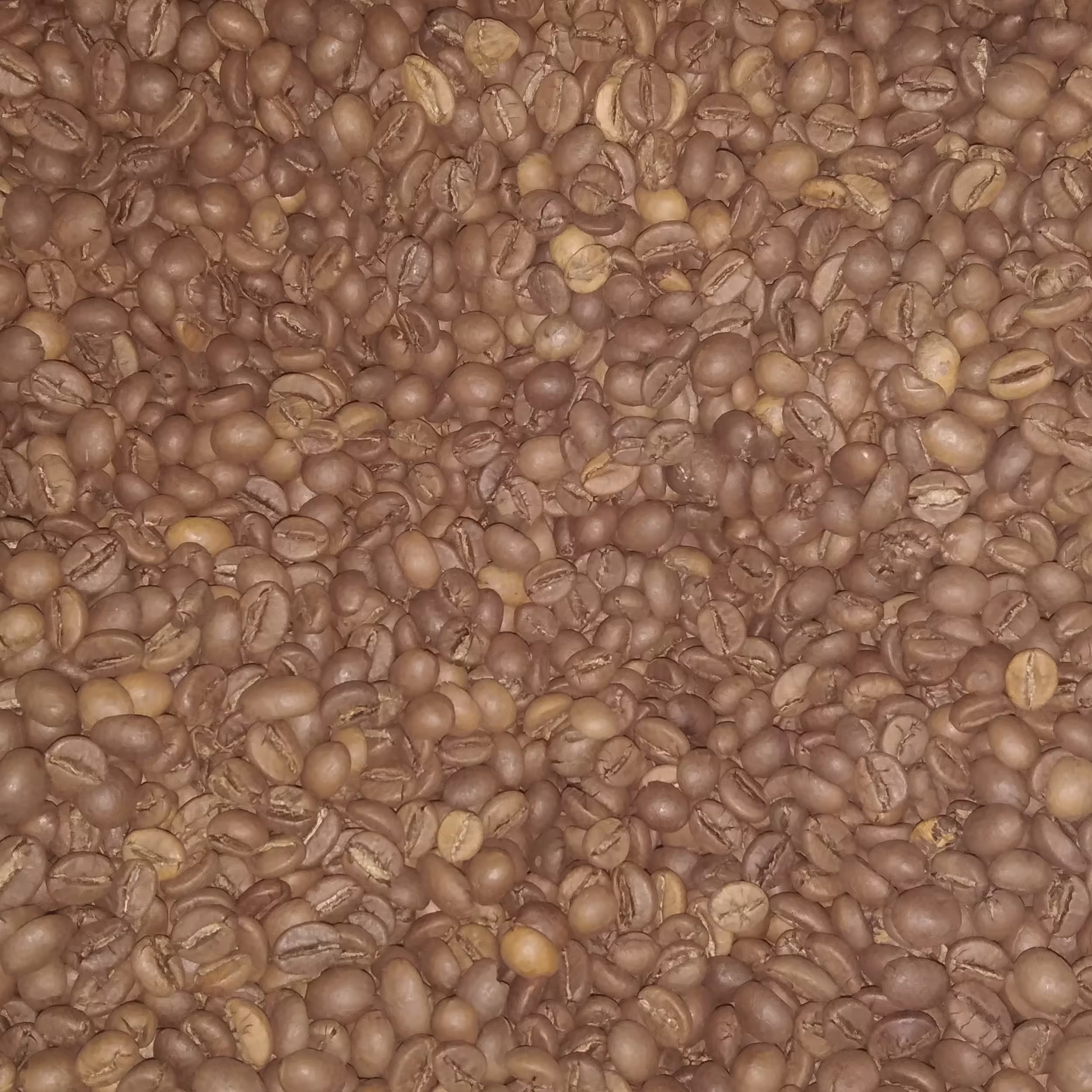 دانه قهوه اندونزی