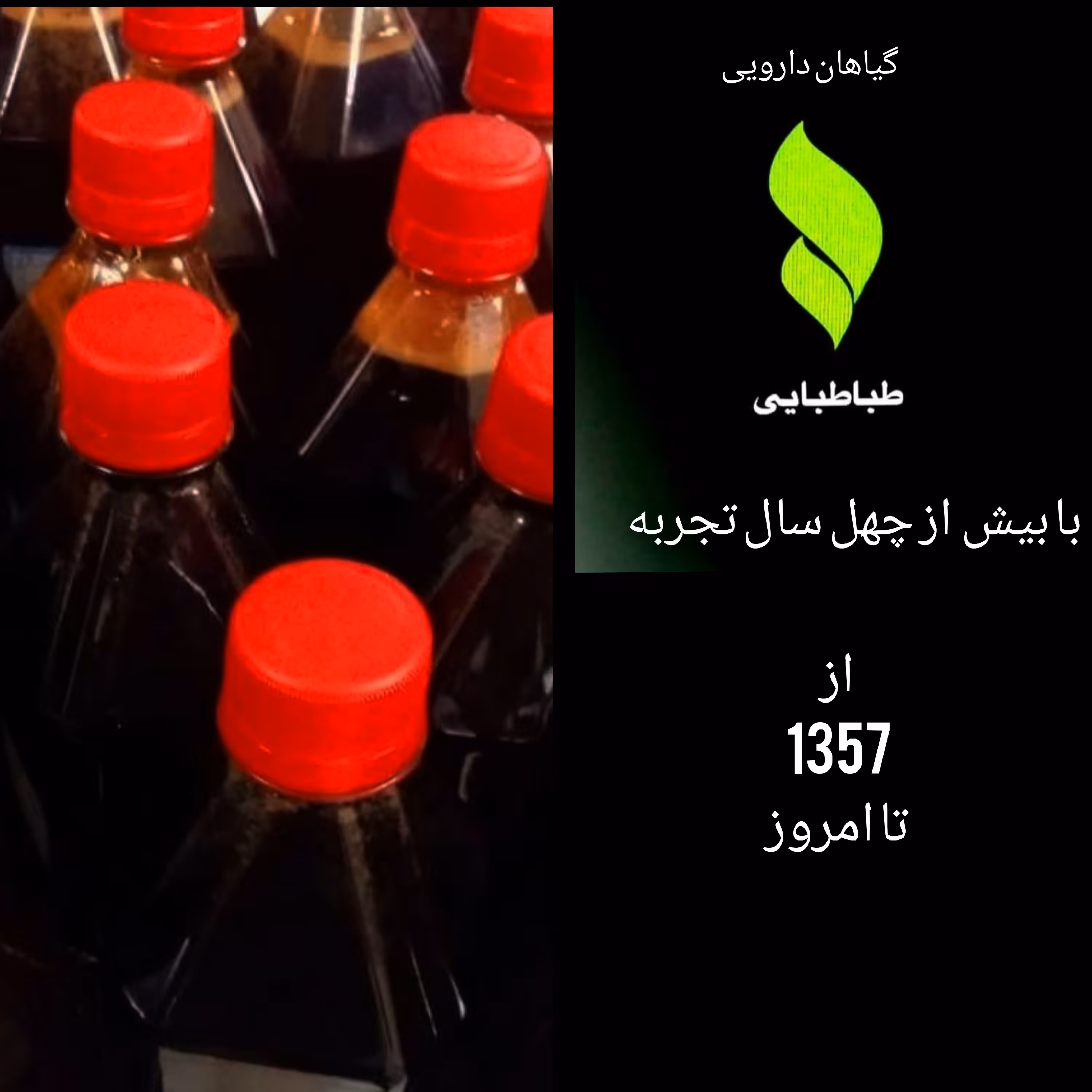 مخصوص کبد 900گرمی قهوه ای تیره ترکیب صد در صد گیاهی