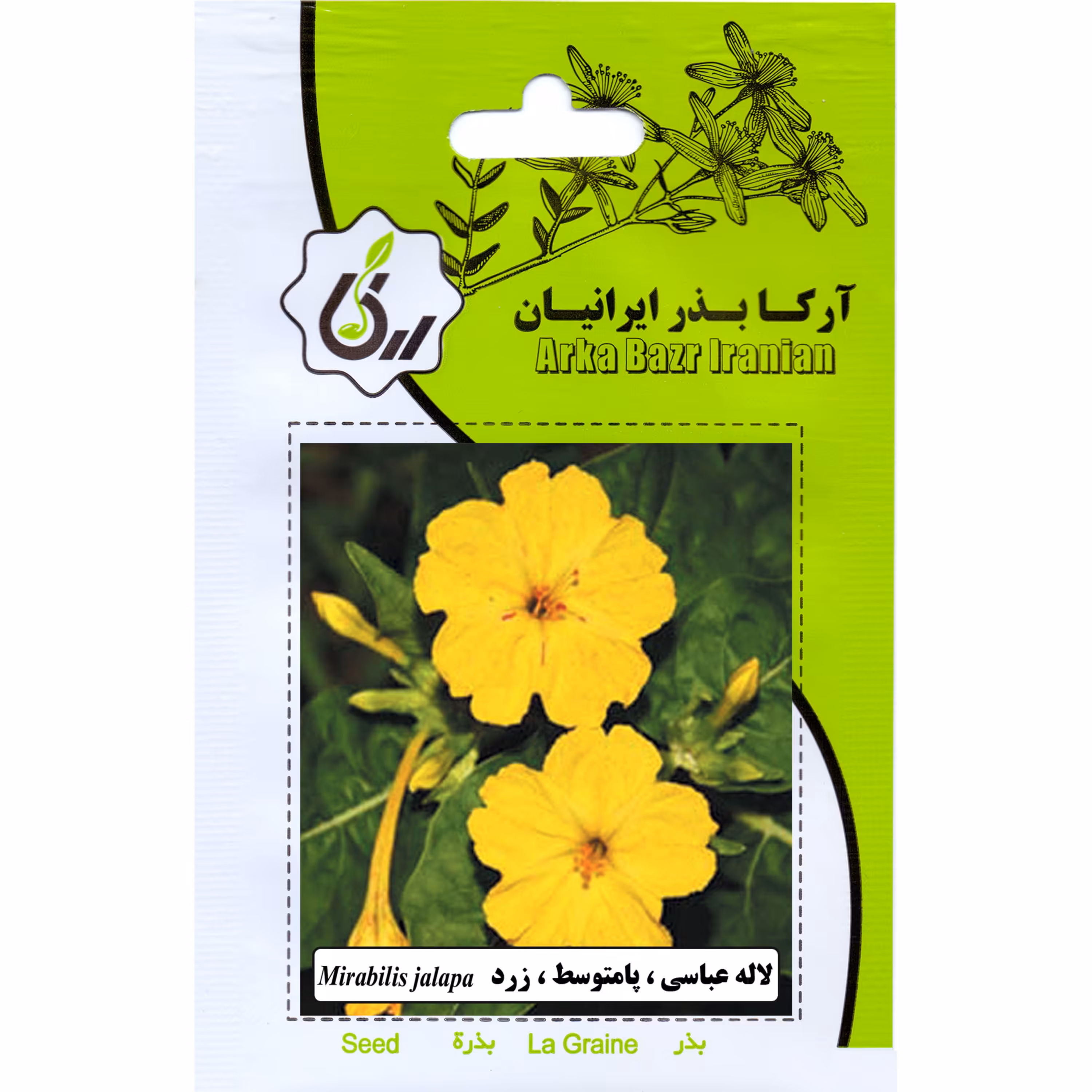 لاله عباسی پا متوسط زرد ارکا بذر ایرانیان