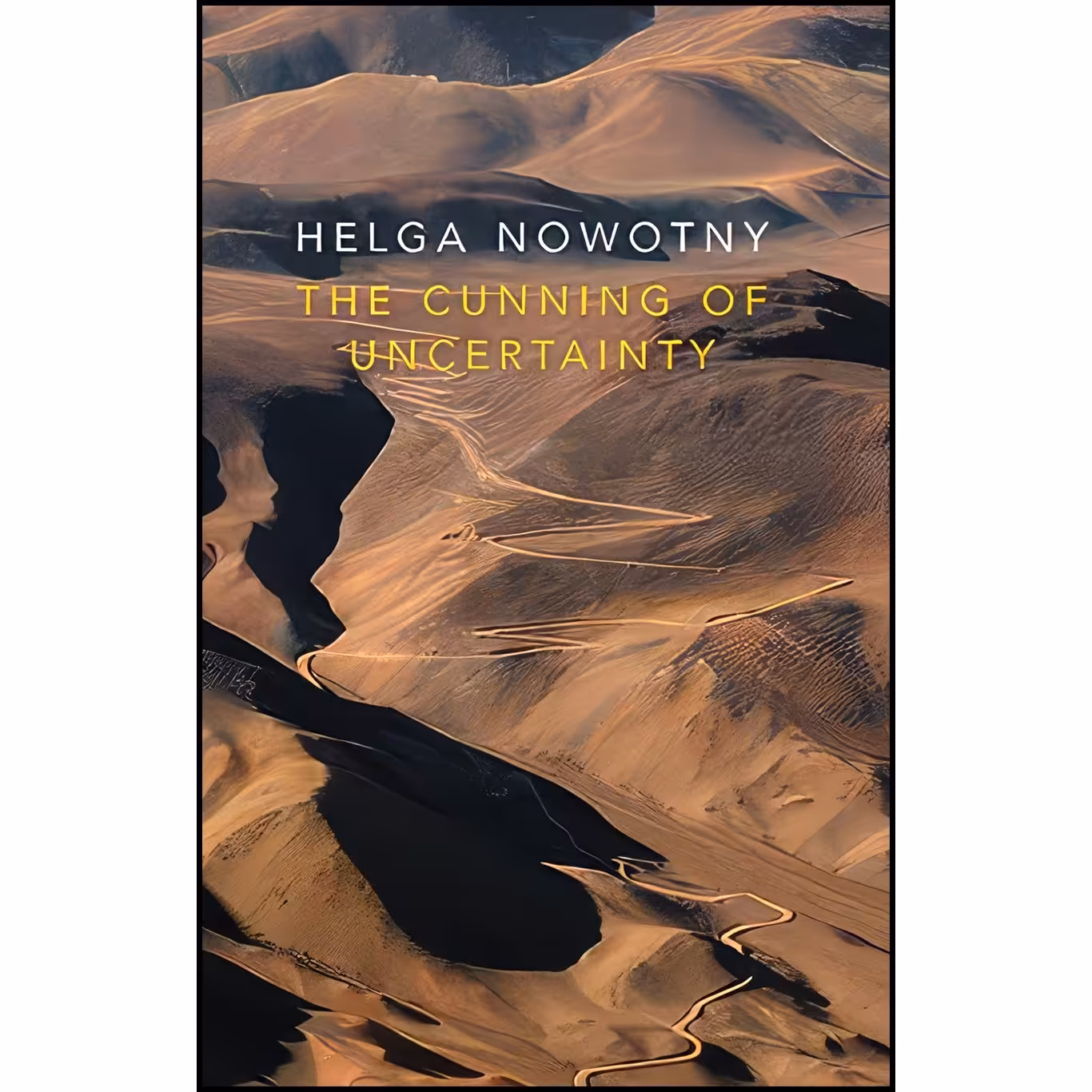 کتاب زبان اصلی The Cunning of Uncertainty اثر Helga Nowotny