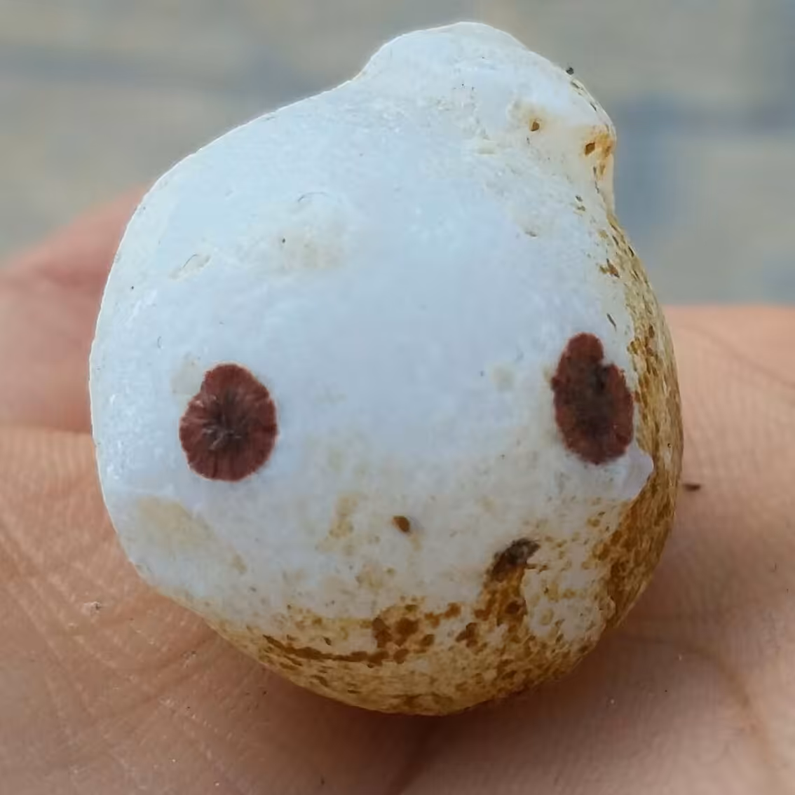 سنگ راف خام عقیق باباقوری مصور نقلی  برش نخورده 100 در 100 طبیعی سرشار از خواص شاهکار خلقت
