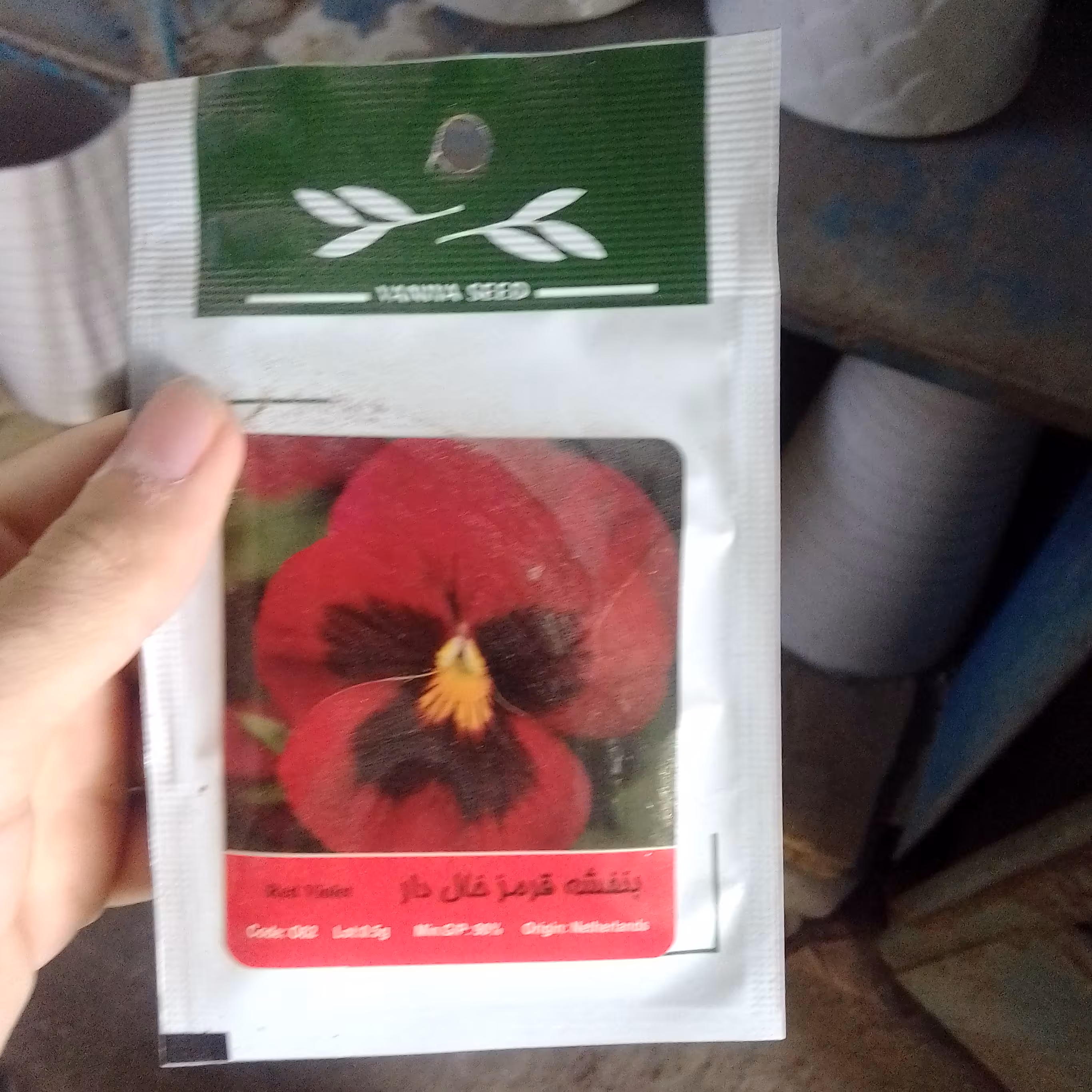 تخم گل بنفشه خالدار  خارجی