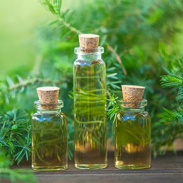 روغن درخت چای یک لیتری(ارسال رایگان)